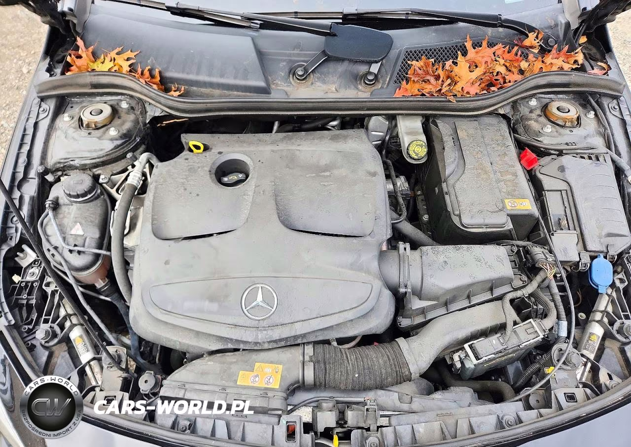 2016 Mercedes-Benz Cla 250 4Matic VIN:WDDSJ4GB0GN360697 - 11