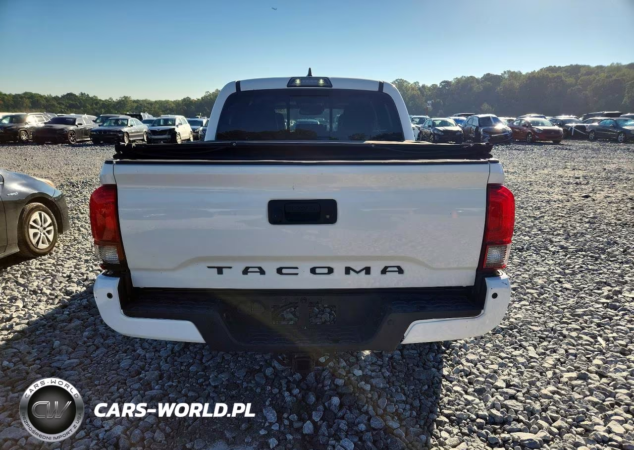 2019 Toyota Tacoma Trd Off-Road VIN:3TMCZ5AN2KM208598 - 6