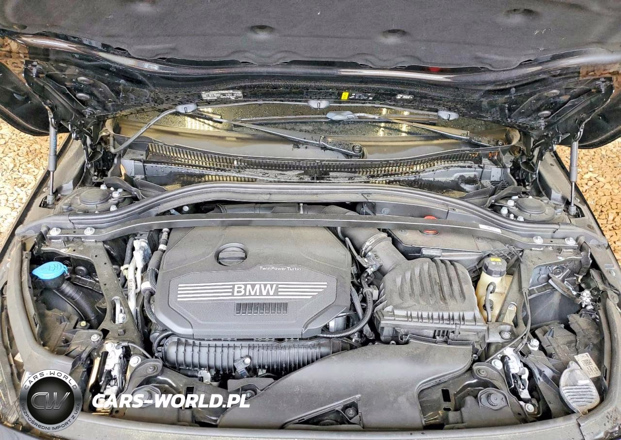 2022 BMW 228I VIN:WBA53AK07N7J81948 - 11