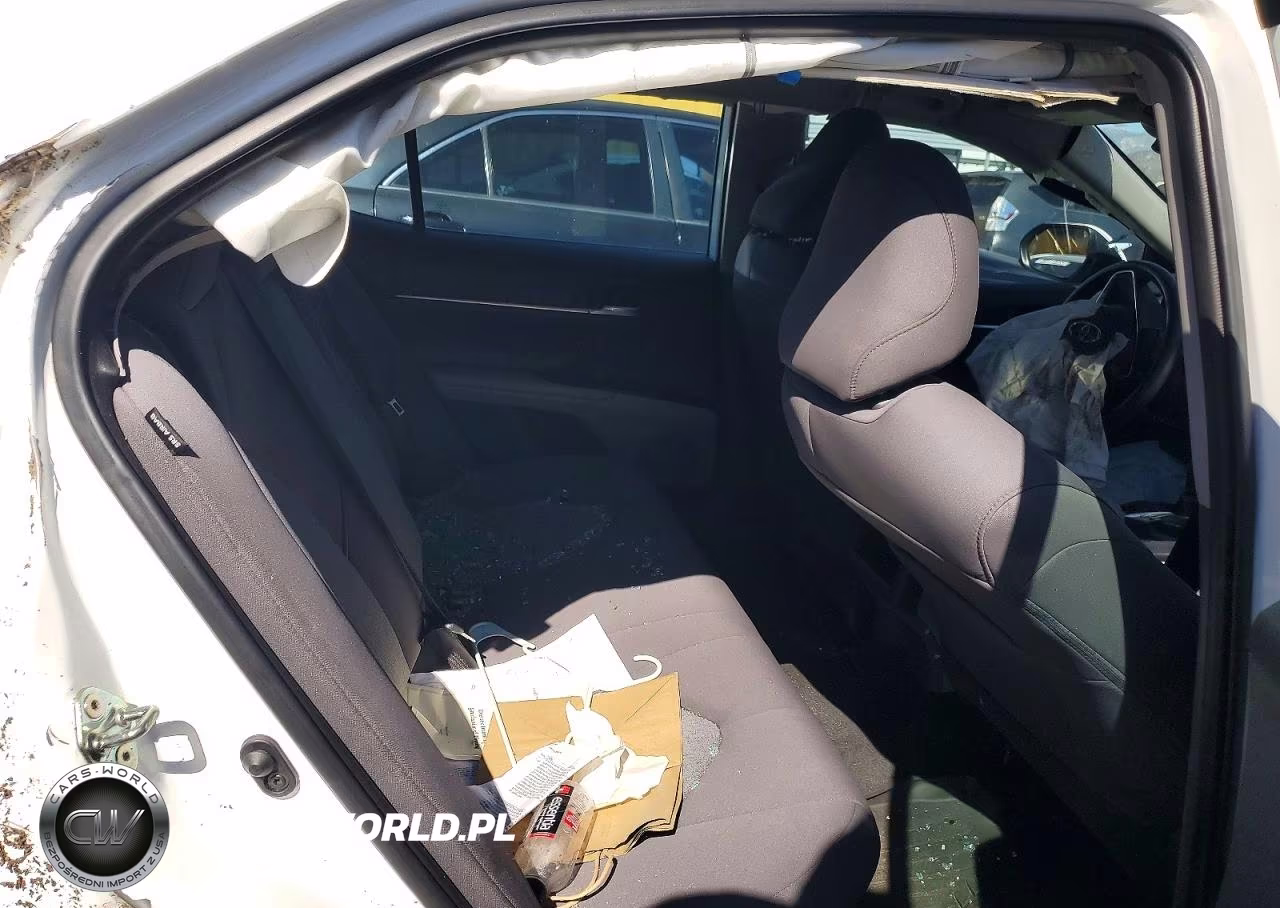 2020 Toyota Camry Le VIN:4T1C31AK8LU010794 - 10