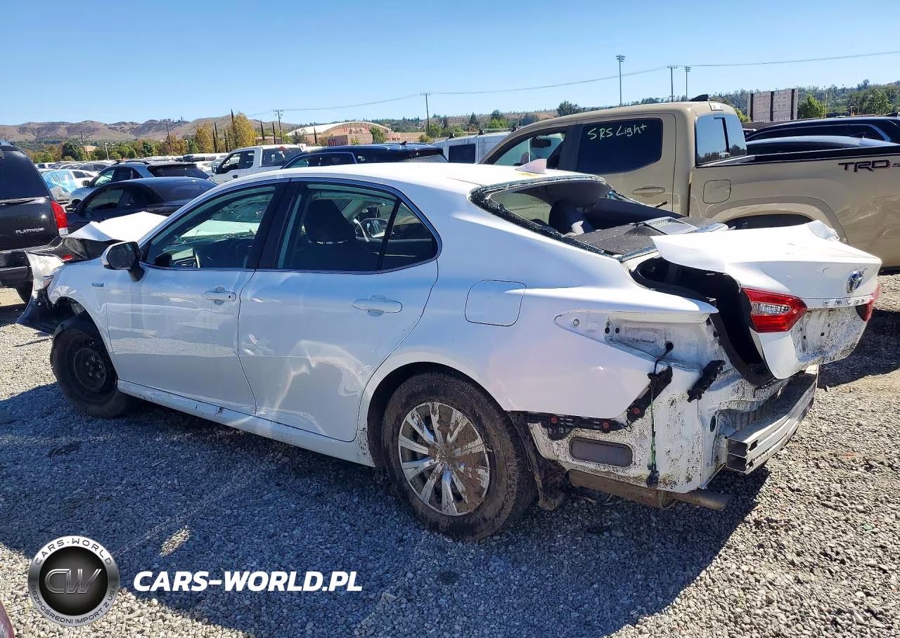 2020 Toyota Camry Le VIN:4T1C31AK8LU010794 - 2