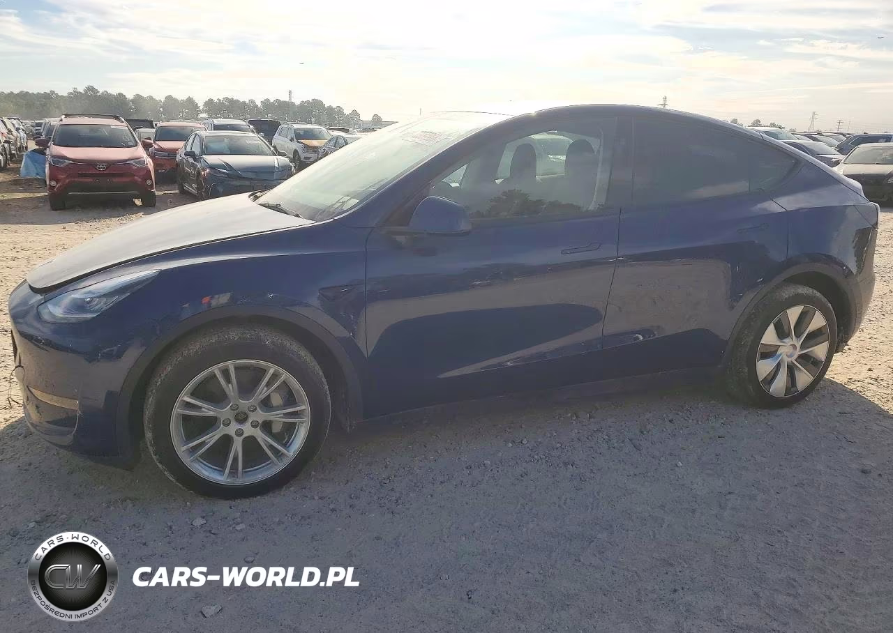 2023 Tesla Model Y VIN:7SAYGDEE6PA148160 - 1