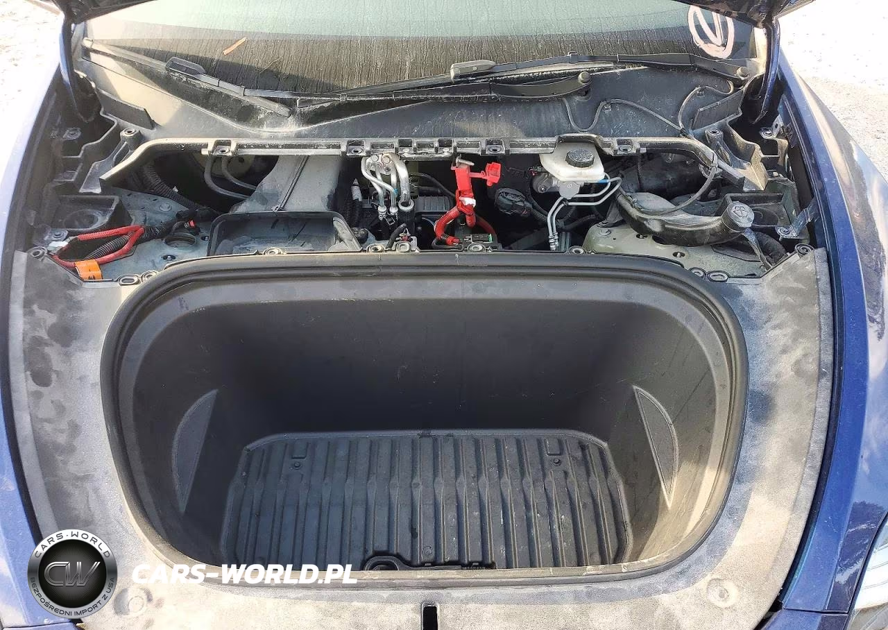 2023 Tesla Model Y VIN:7SAYGDEE6PA148160 - 11