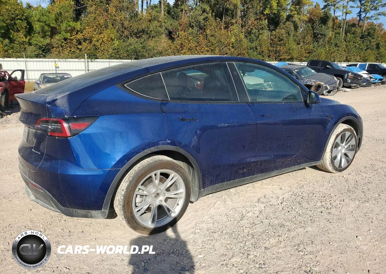 2023 Tesla Model Y VIN:7SAYGDEE6PA148160 - 3