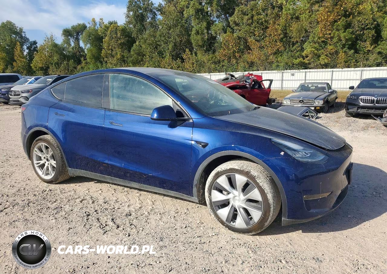 2023 Tesla Model Y VIN:7SAYGDEE6PA148160 - 4