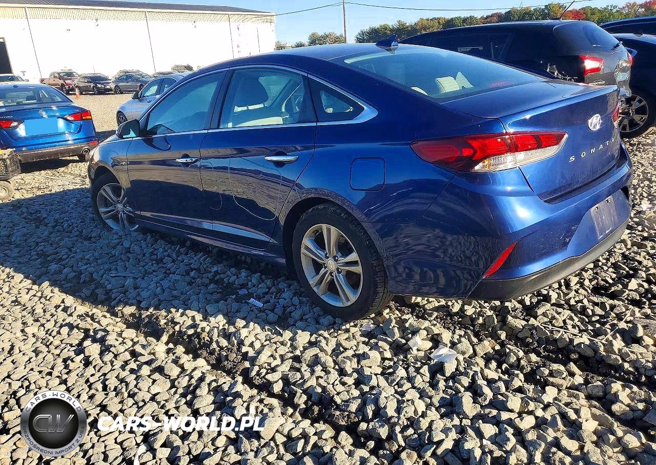 2018 Hyundai Sonata Sel VIN:5NPE34AF9JH669136 - 2