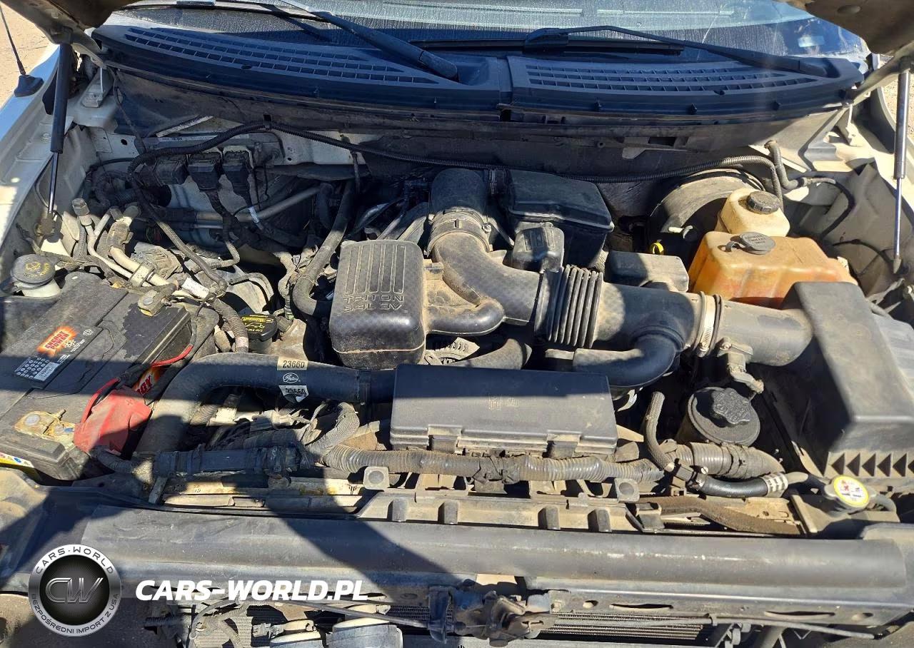 2009 Ford F150 Supercrew VIN:1FTPW12VX9FA69526 - 11