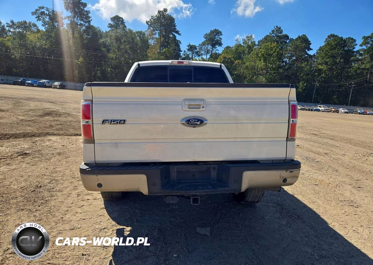 2009 Ford F150 Supercrew VIN:1FTPW12VX9FA69526 - 6