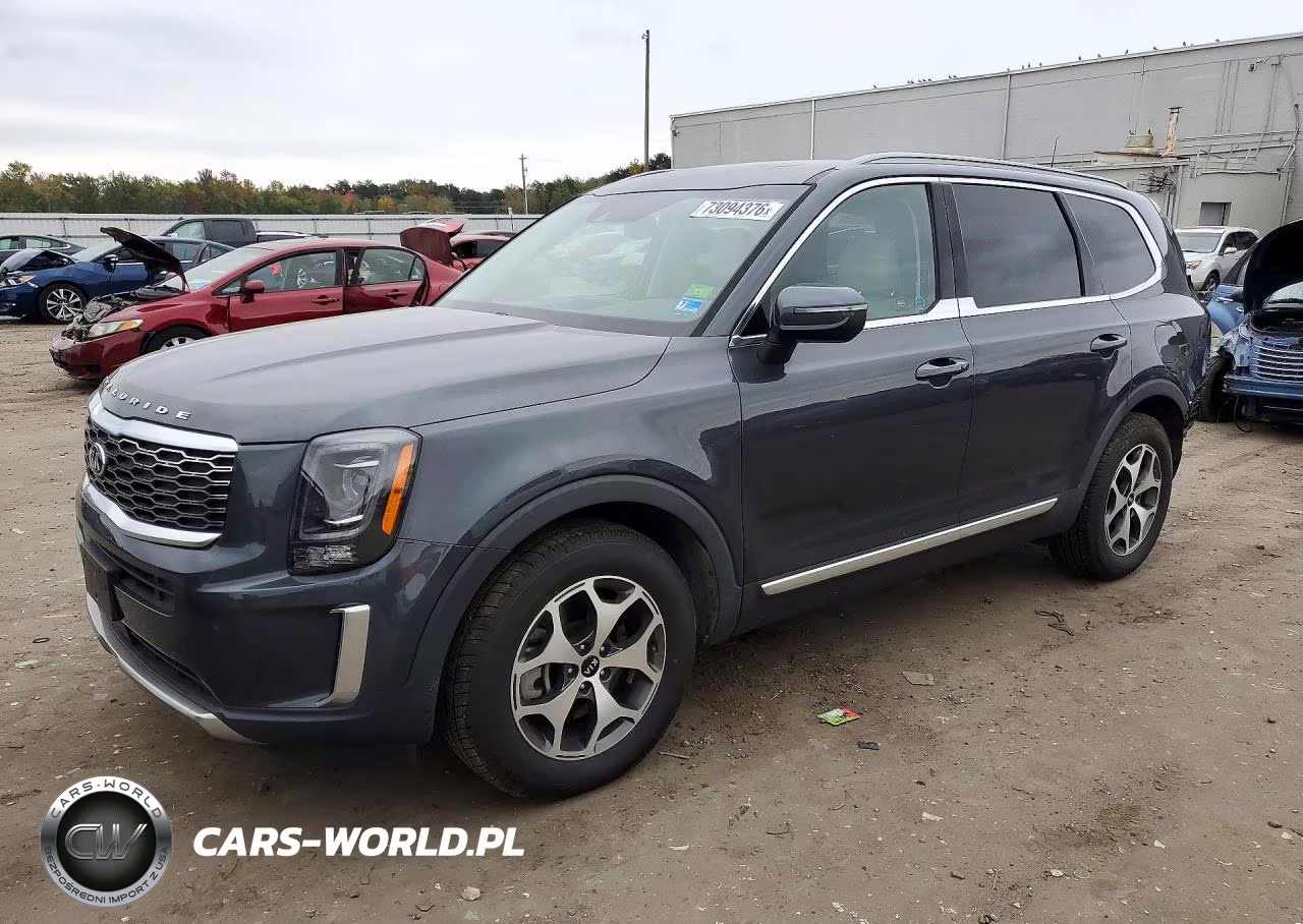 2020 Kia Telluride Ex VIN:5XYP3DHC6LG001096 - 1