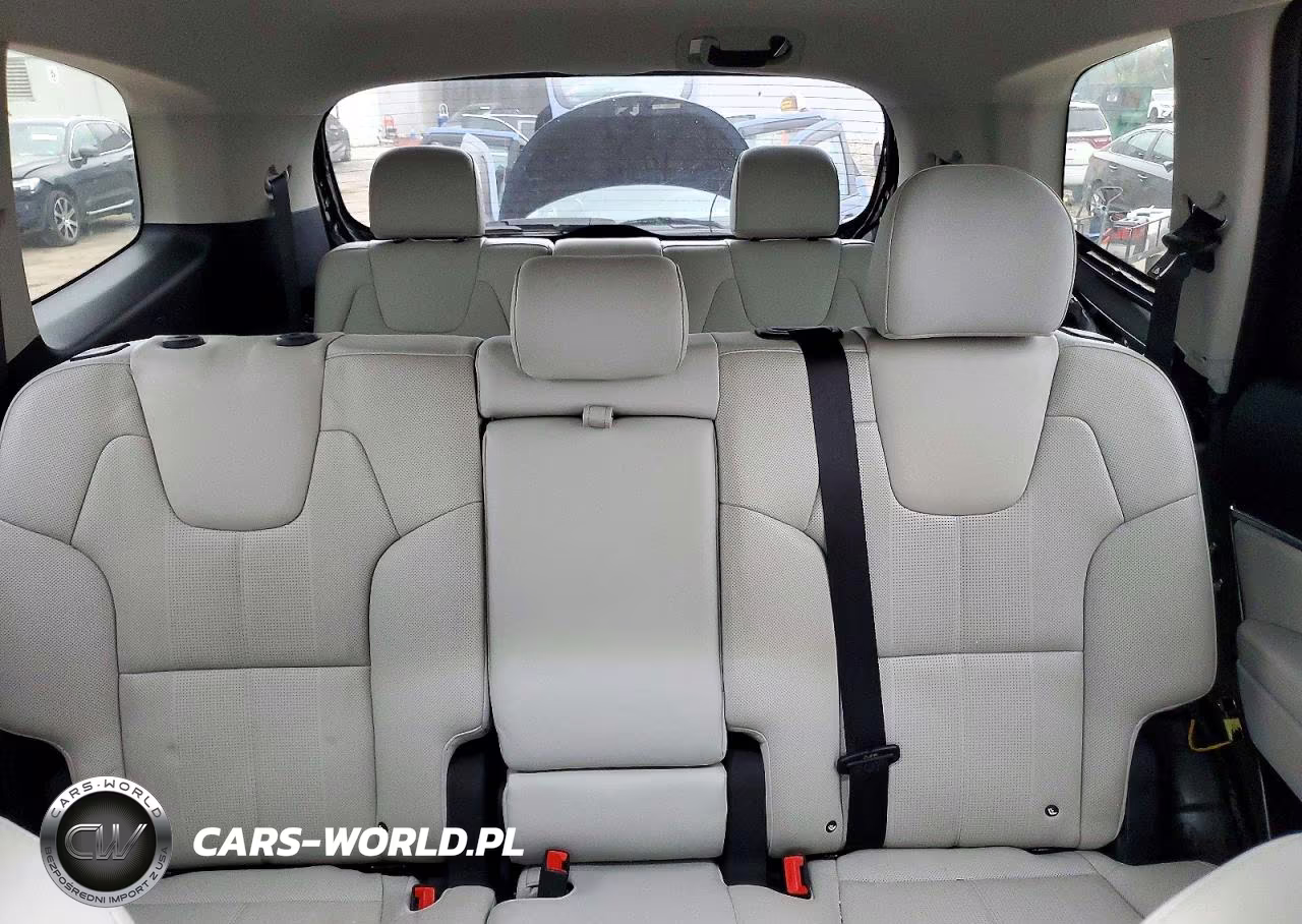 2020 Kia Telluride Ex VIN:5XYP3DHC6LG001096 - 10