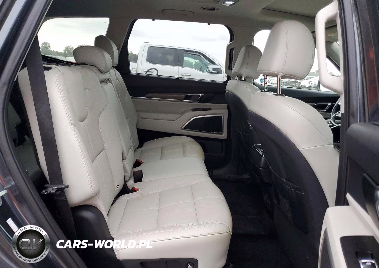 2020 Kia Telluride Ex VIN:5XYP3DHC6LG001096 - 11