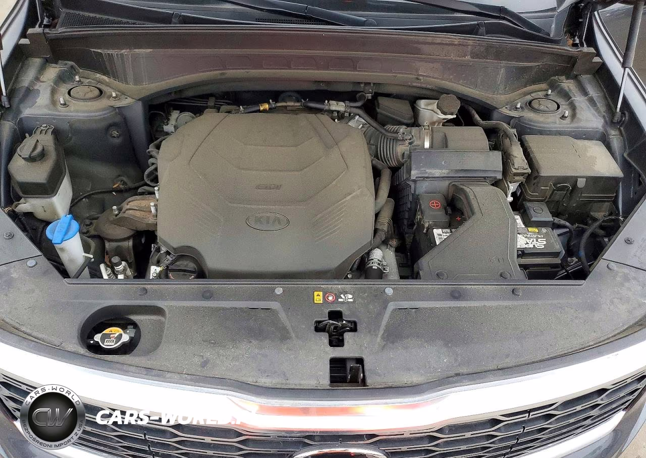 2020 Kia Telluride Ex VIN:5XYP3DHC6LG001096 - 12