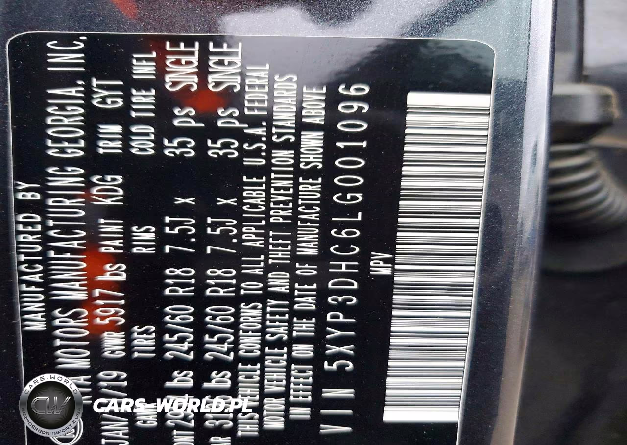 2020 Kia Telluride Ex VIN:5XYP3DHC6LG001096 - 13