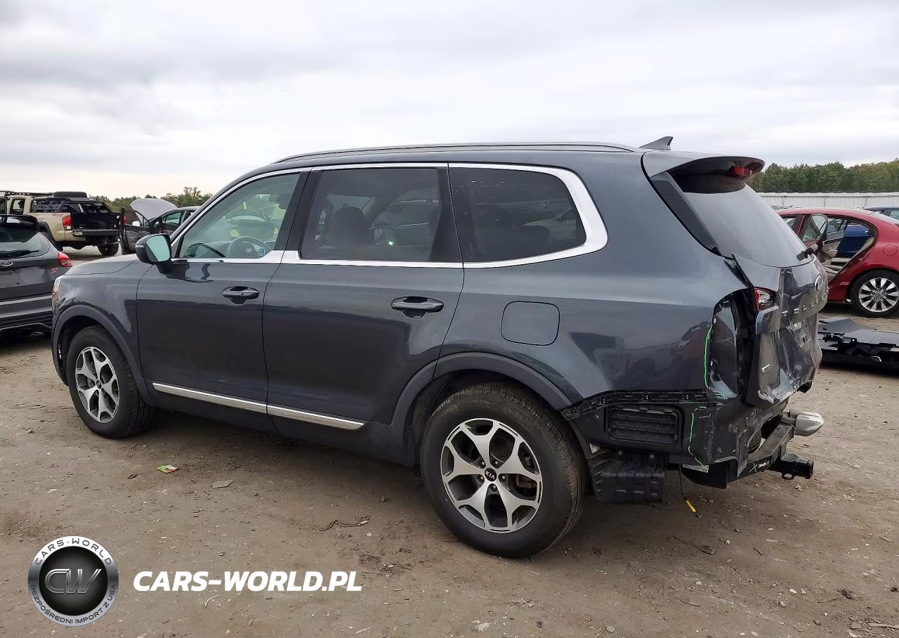 2020 Kia Telluride Ex VIN:5XYP3DHC6LG001096 - 2