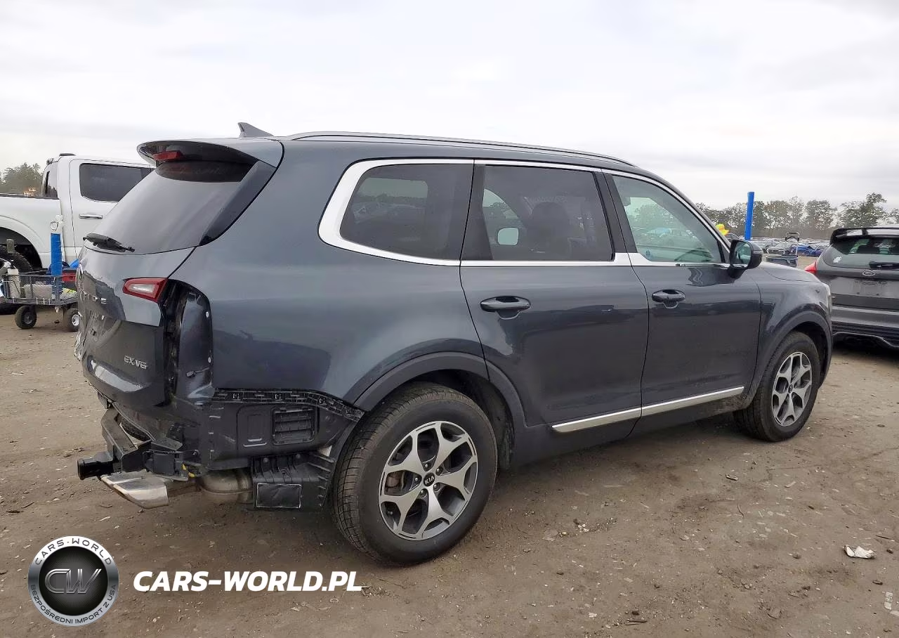 2020 Kia Telluride Ex VIN:5XYP3DHC6LG001096 - 3