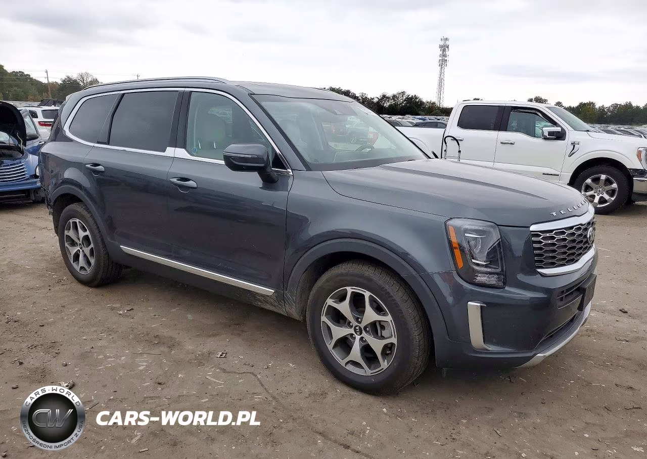 2020 Kia Telluride Ex VIN:5XYP3DHC6LG001096 - 4