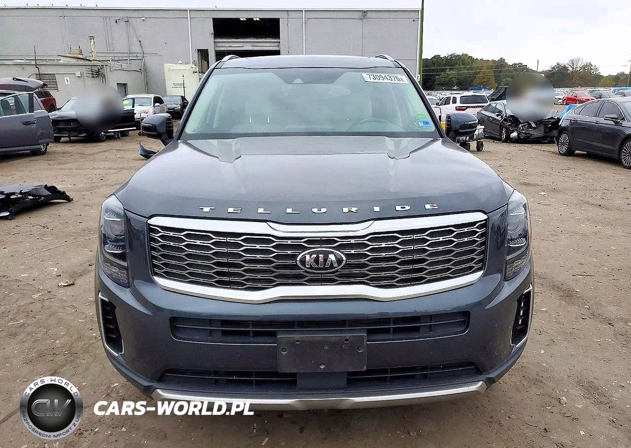 2020 Kia Telluride Ex VIN:5XYP3DHC6LG001096 - 5