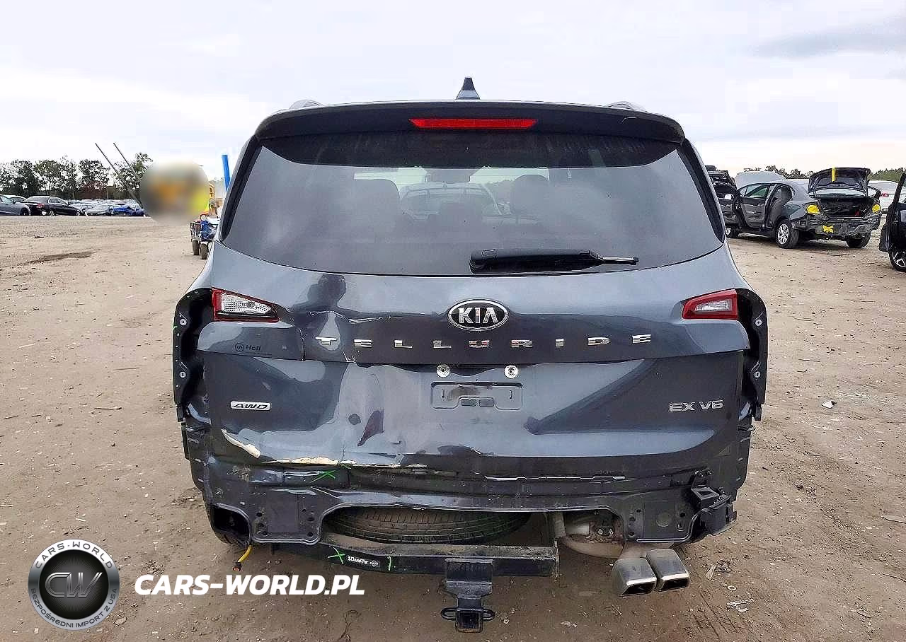 2020 Kia Telluride Ex VIN:5XYP3DHC6LG001096 - 6