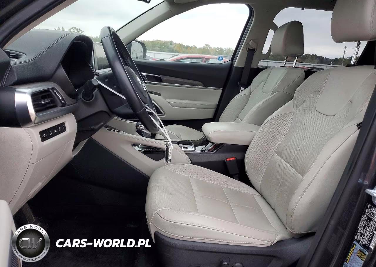 2020 Kia Telluride Ex VIN:5XYP3DHC6LG001096 - 7