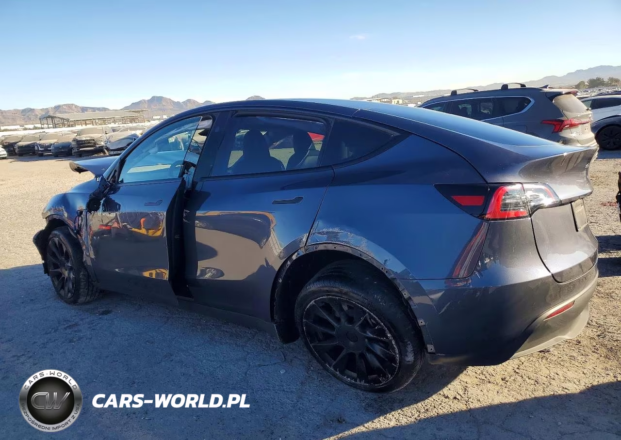 2023 Tesla Model Y VIN:7SAYGDEE1PF905498 - 2