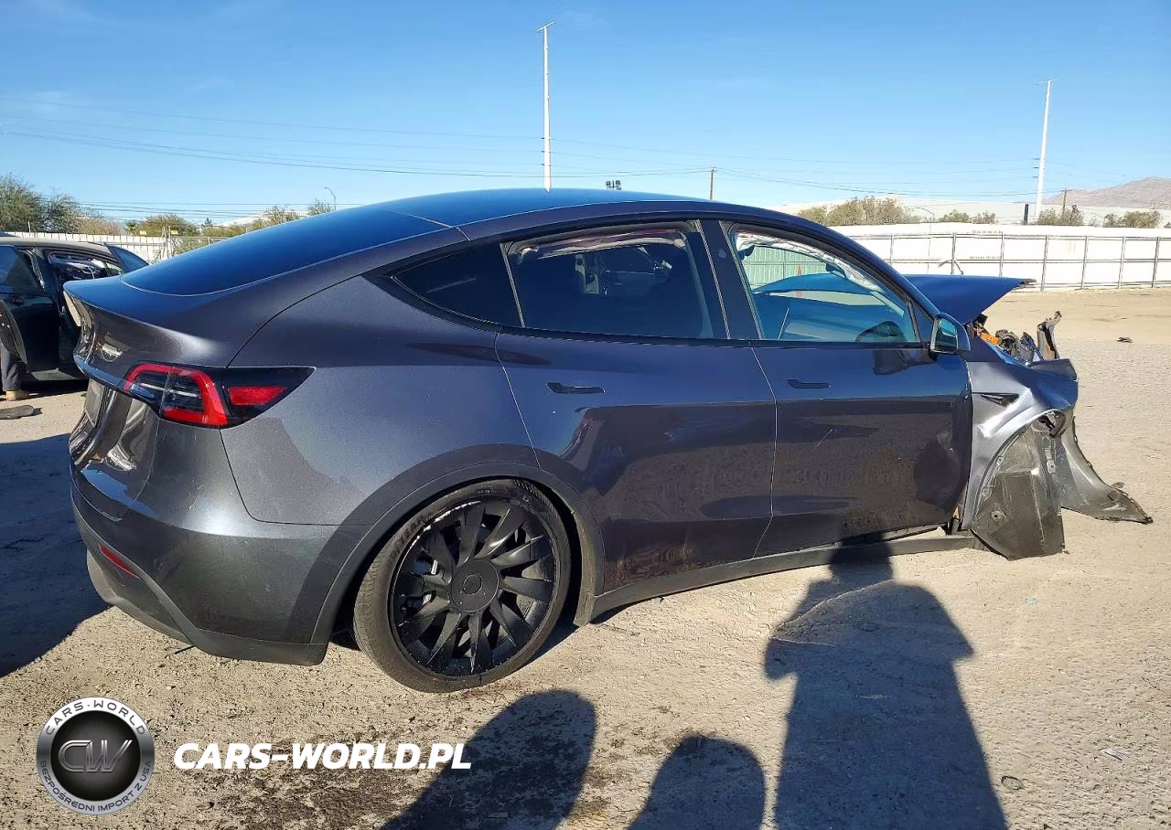 2023 Tesla Model Y VIN:7SAYGDEE1PF905498 - 3