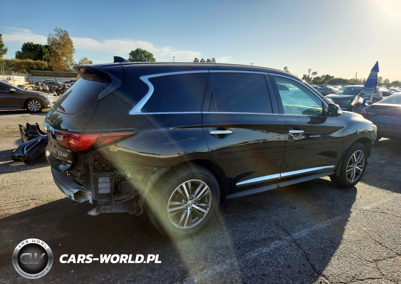 2019 Infiniti Qx60 Pure VIN:5N1DL0MN2KC560632 - 3