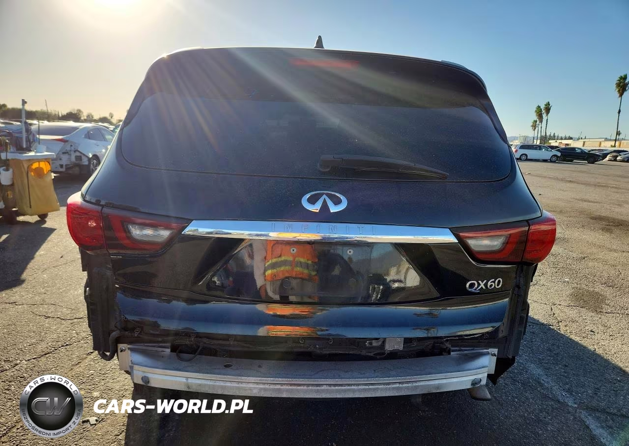 2019 Infiniti Qx60 Pure VIN:5N1DL0MN2KC560632 - 6