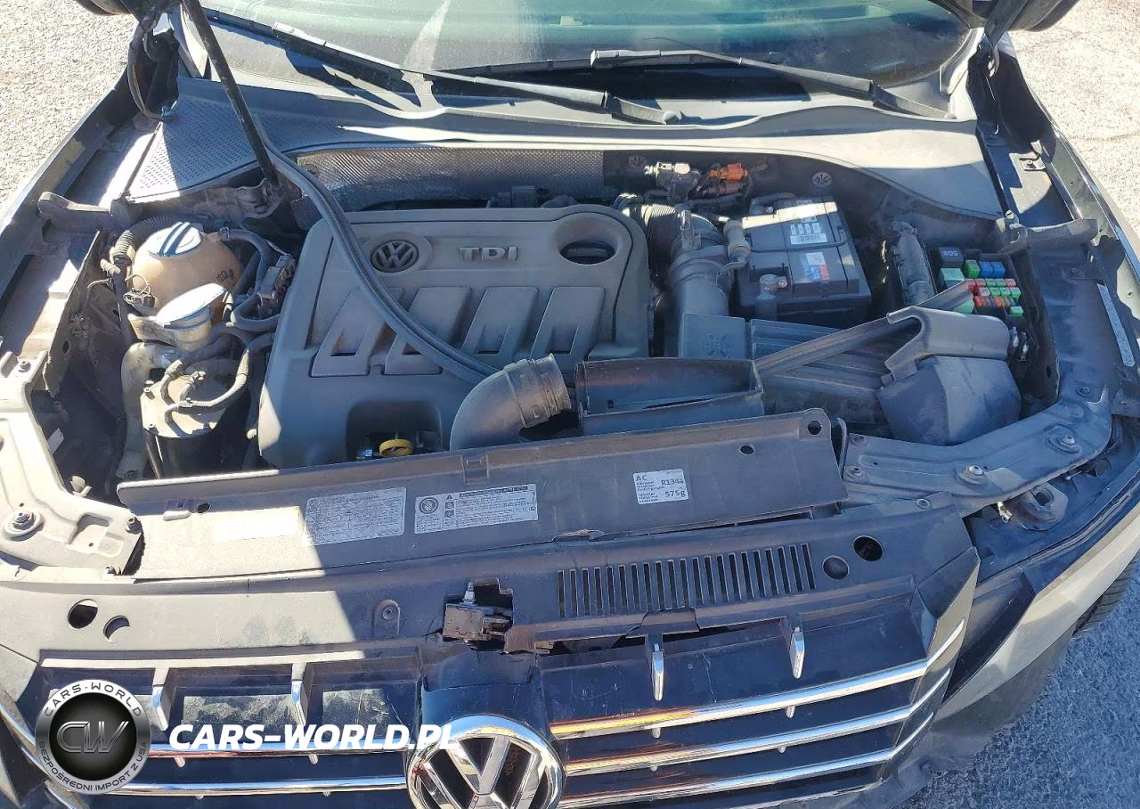 2014 Volkswagen Passat Sel VIN:1VWCN7A33EC065220 - 11