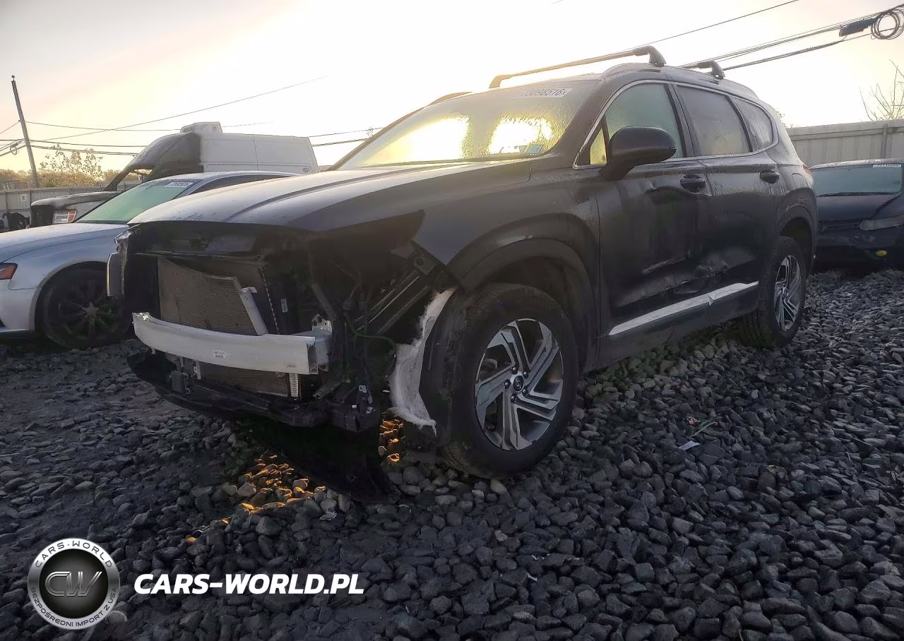 2021 Hyundai Santa Fe Sel VIN:5NMS2DAJ2MH308973 - 1