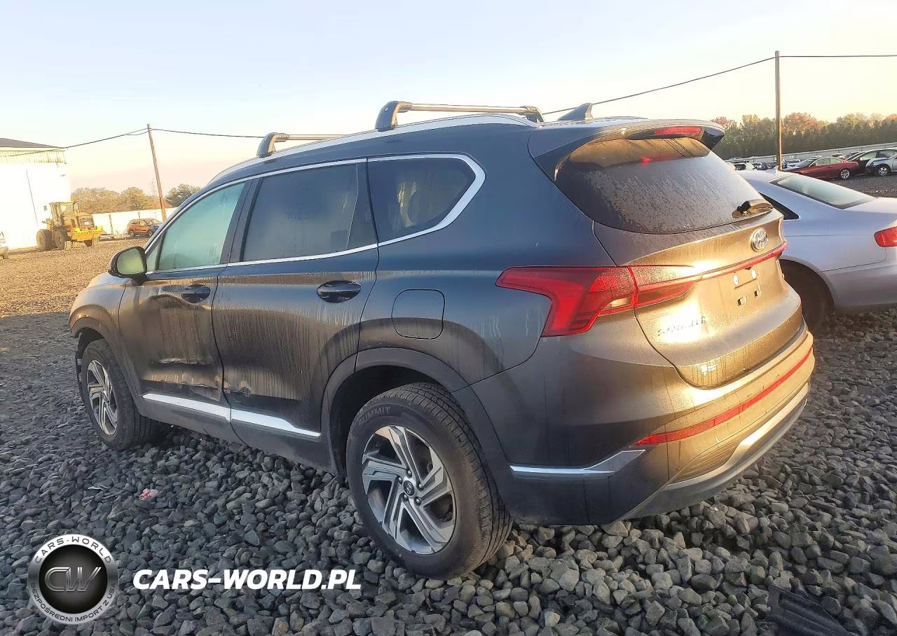 2021 Hyundai Santa Fe Sel VIN:5NMS2DAJ2MH308973 - 2