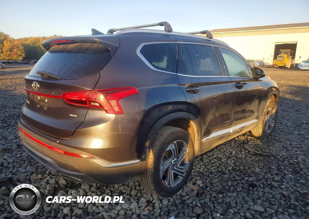 2021 Hyundai Santa Fe Sel VIN:5NMS2DAJ2MH308973 - 3