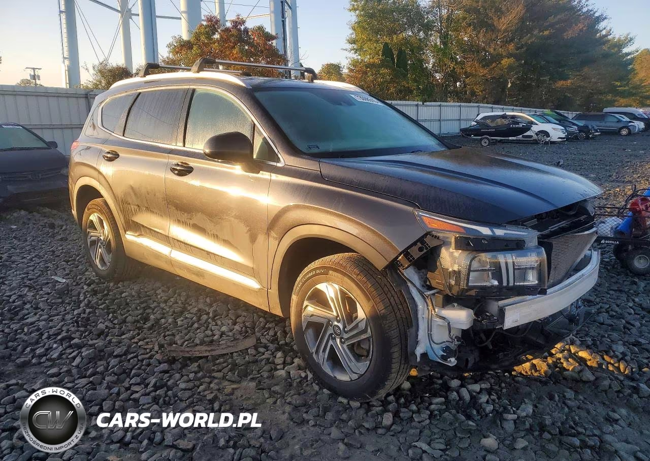 2021 Hyundai Santa Fe Sel VIN:5NMS2DAJ2MH308973 - 4
