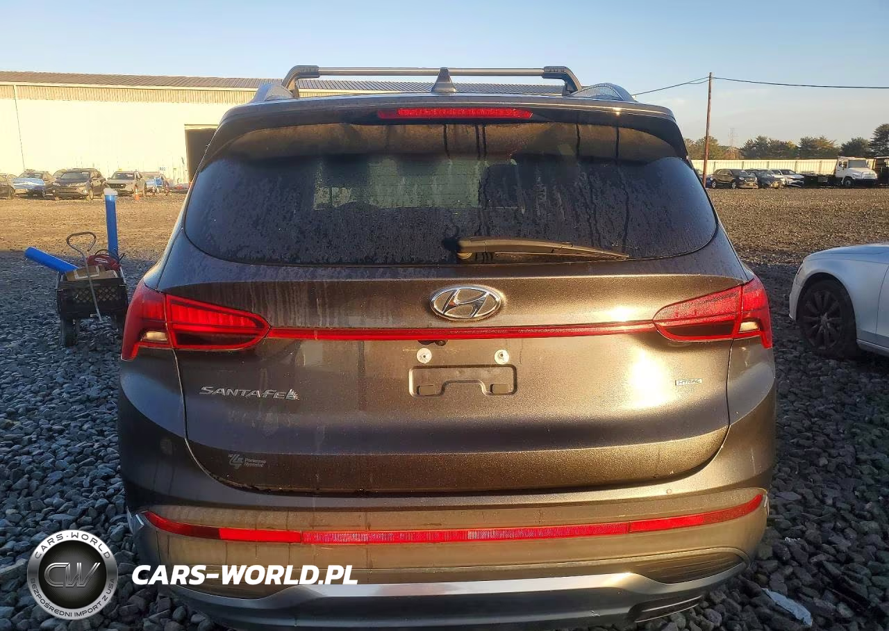 2021 Hyundai Santa Fe Sel VIN:5NMS2DAJ2MH308973 - 6