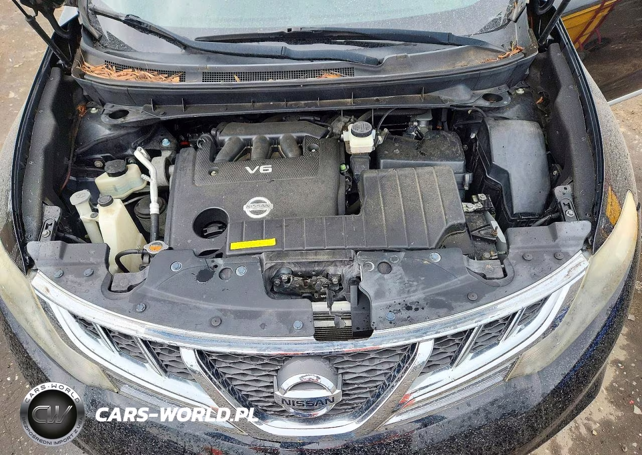 2013 Nissan Murano S VIN:JN8AZ1MW0DW319484 - 11
