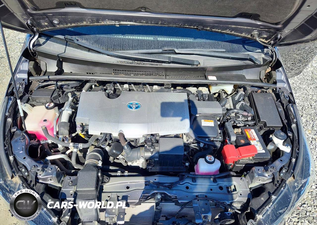 2019 Toyota Prius Prime Advanced VIN:JTDKARFP6K3113080 - 11