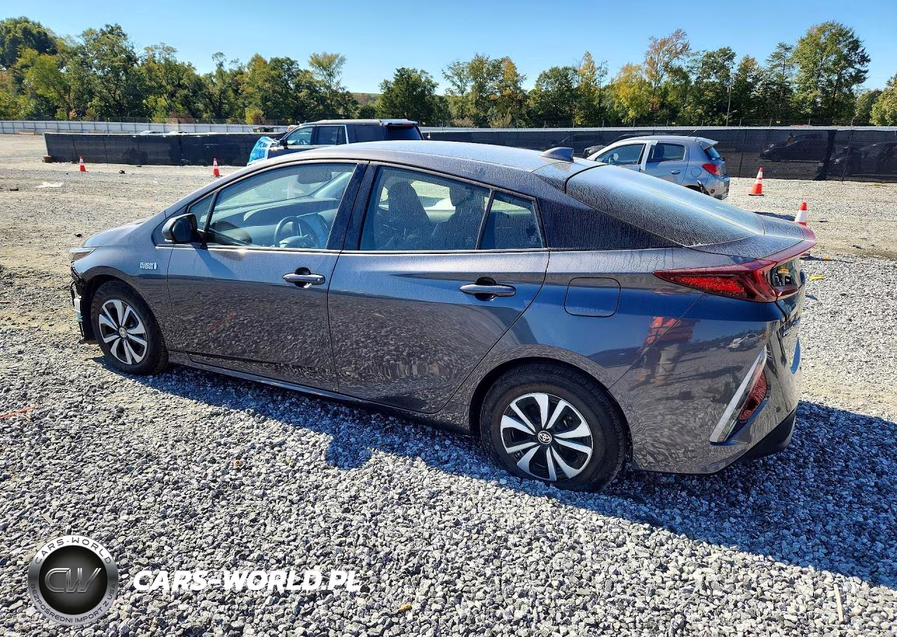 2019 Toyota Prius Prime Advanced VIN:JTDKARFP6K3113080 - 2