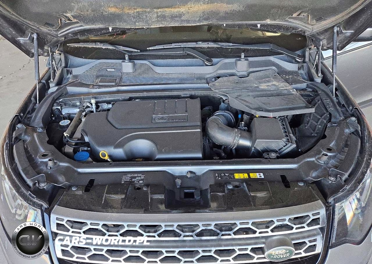 2019 Land Rover Discovery Sport Hse VIN:SALCR2FX2KH794466 - 12
