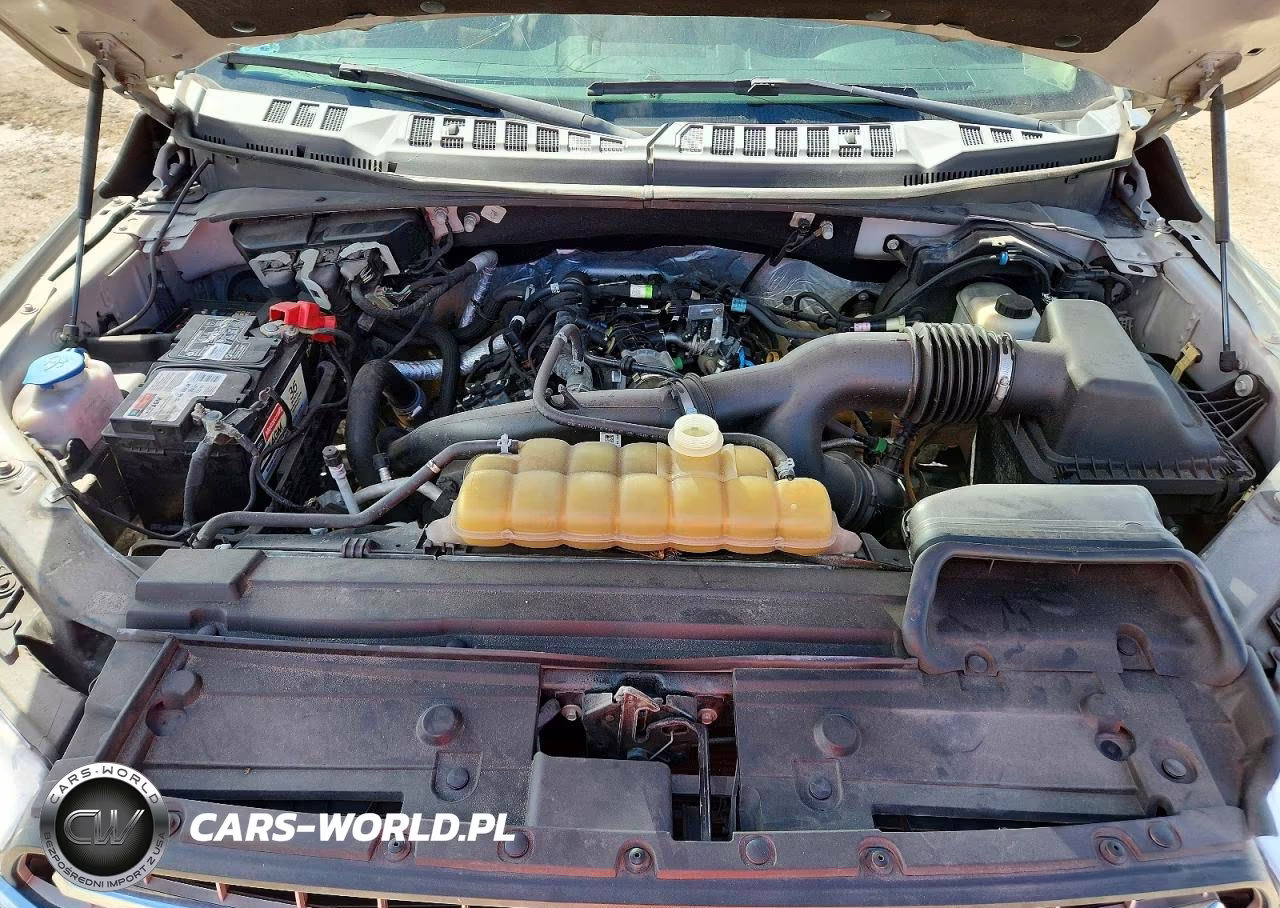 2019 Ford F150 Supercrew VIN:1FTEW1EP8KKD21808 - 11