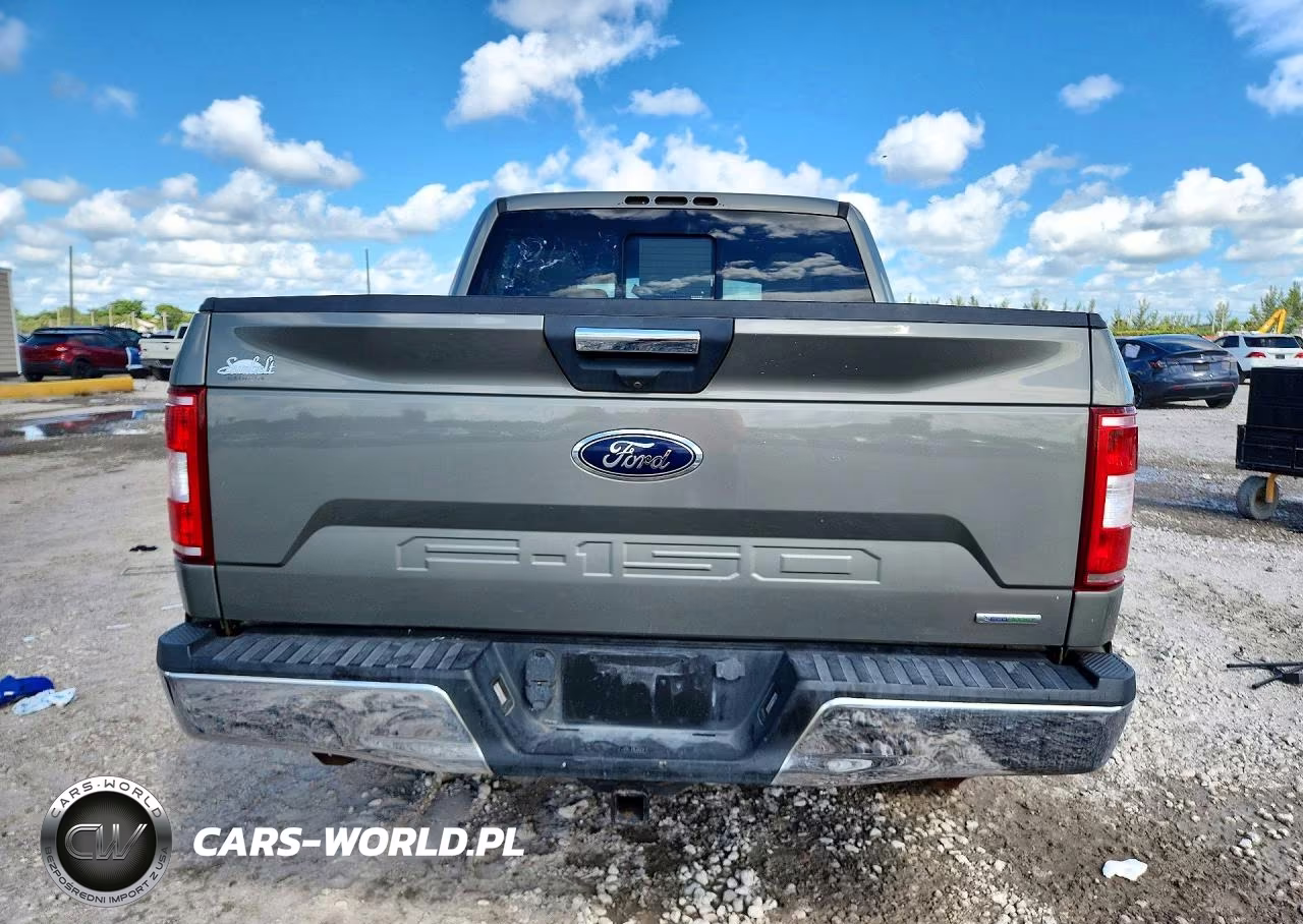 2019 Ford F150 Supercrew VIN:1FTEW1EP8KKD21808 - 6