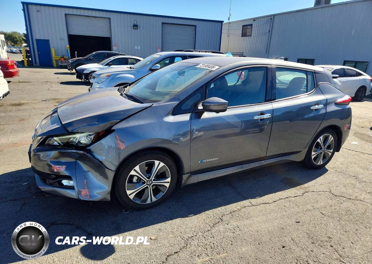 2018 Nissan Leaf Sl VIN:1N4AZ1CP8JC313165 - 1