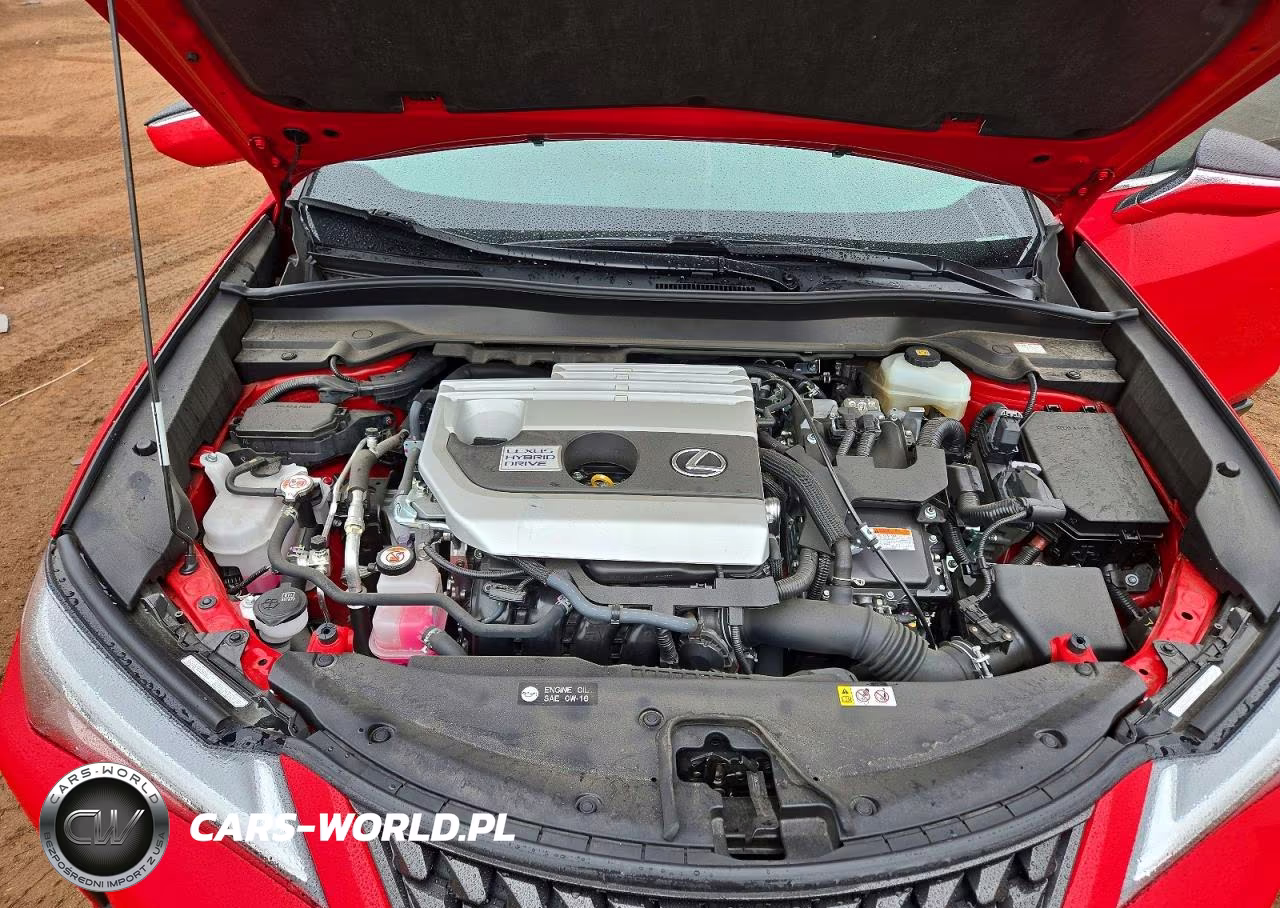 2020 Lexus Ux 250H VIN:JTHP9JBH2L2025681 - 11