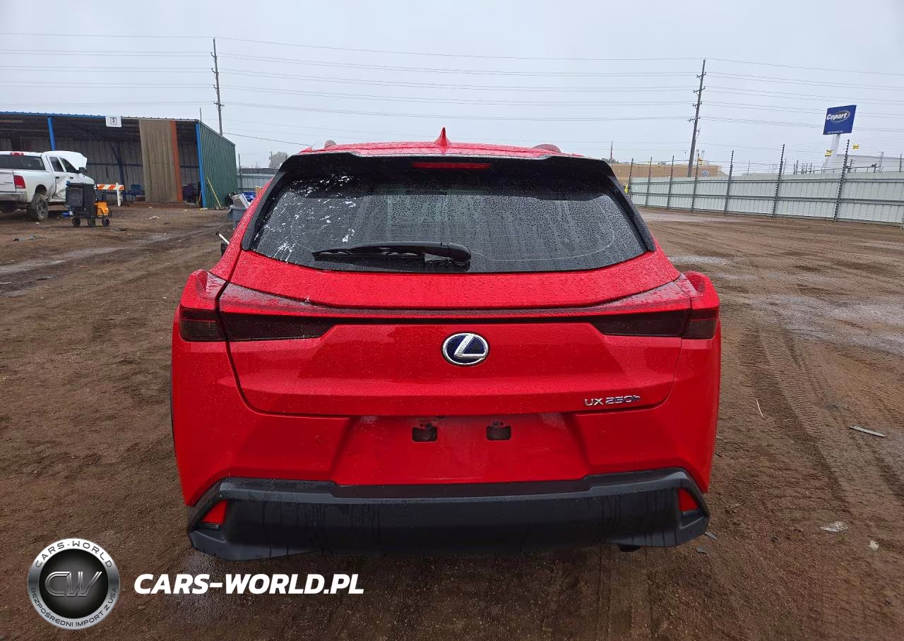 2020 Lexus Ux 250H VIN:JTHP9JBH2L2025681 - 6