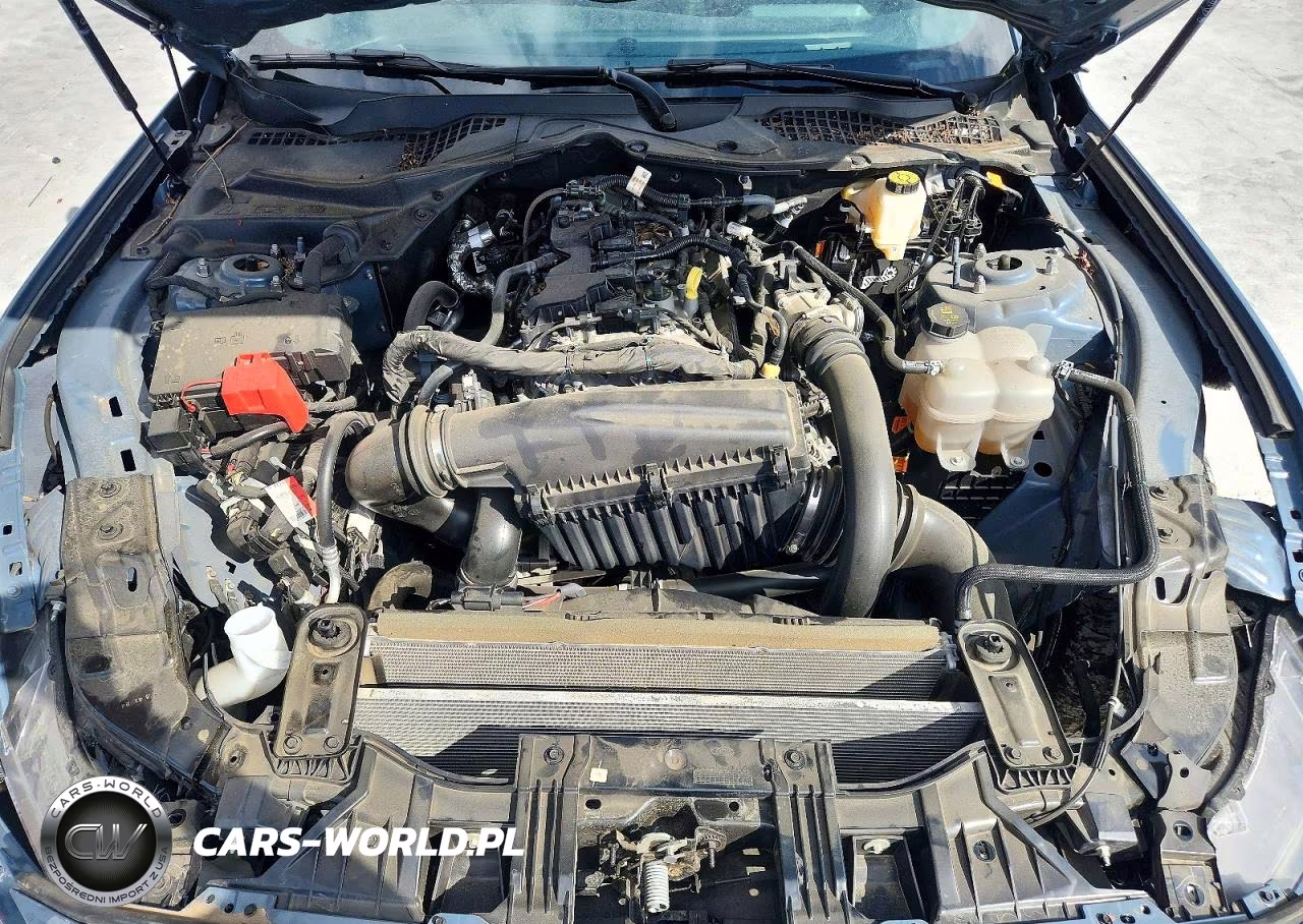 2025 Ford Mustang VIN:1FA6P8TH3S5101485 - 11