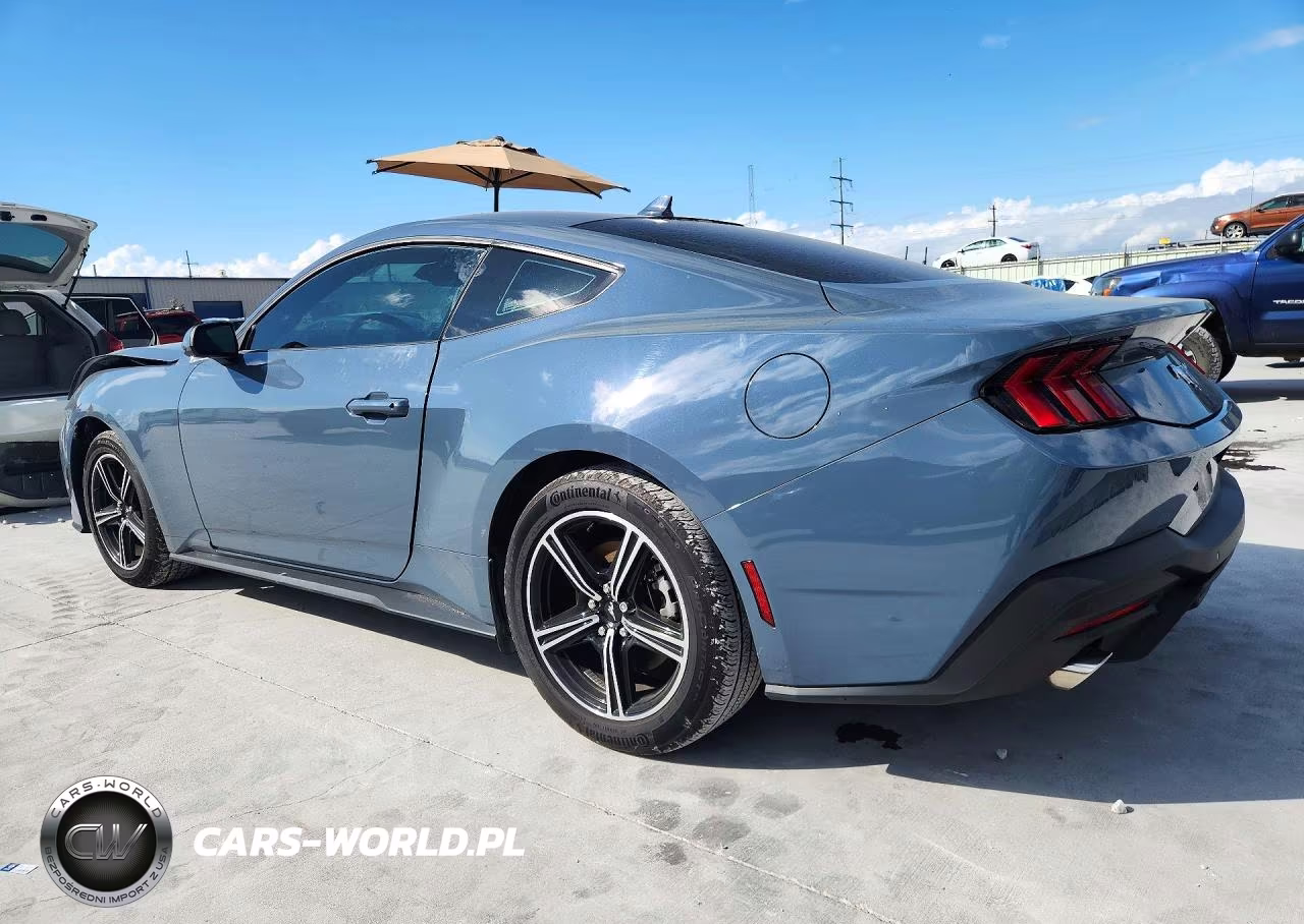 2025 Ford Mustang VIN:1FA6P8TH3S5101485 - 2