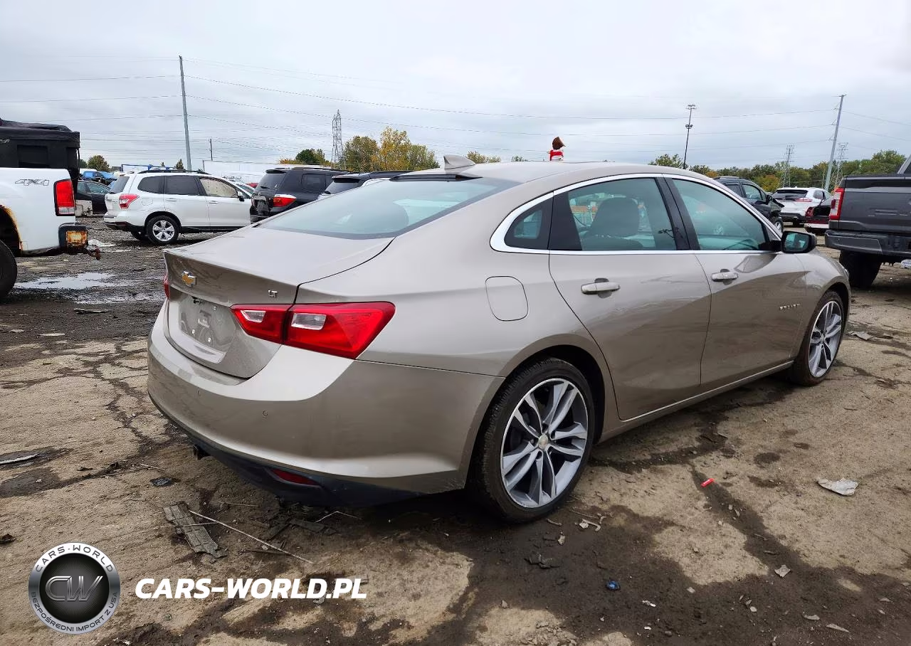 2023 Chevrolet Malibu Lt VIN:1G1ZD5ST6PF189950 - 3