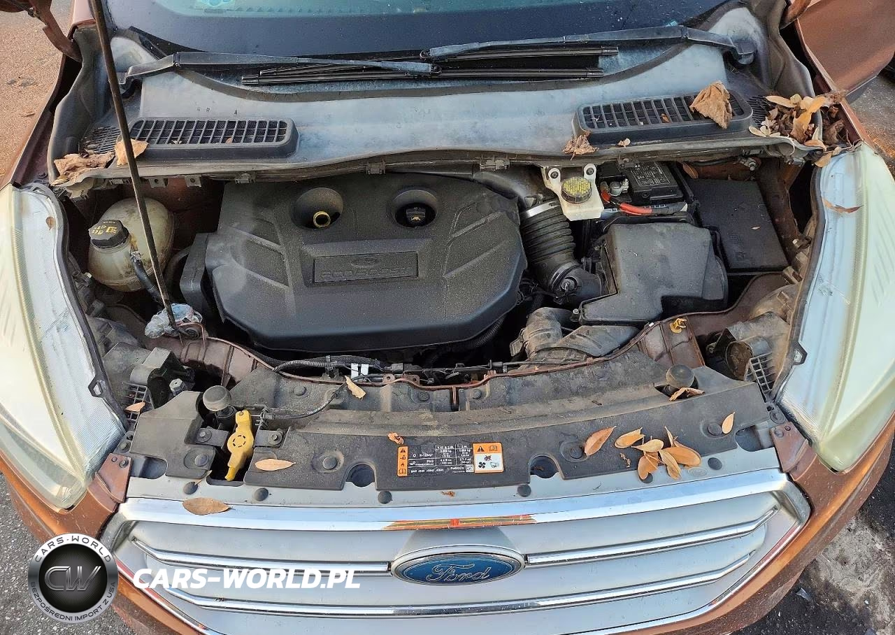 2017 Ford Escape Se VIN:1FMCU9G96HUA24796 - 12