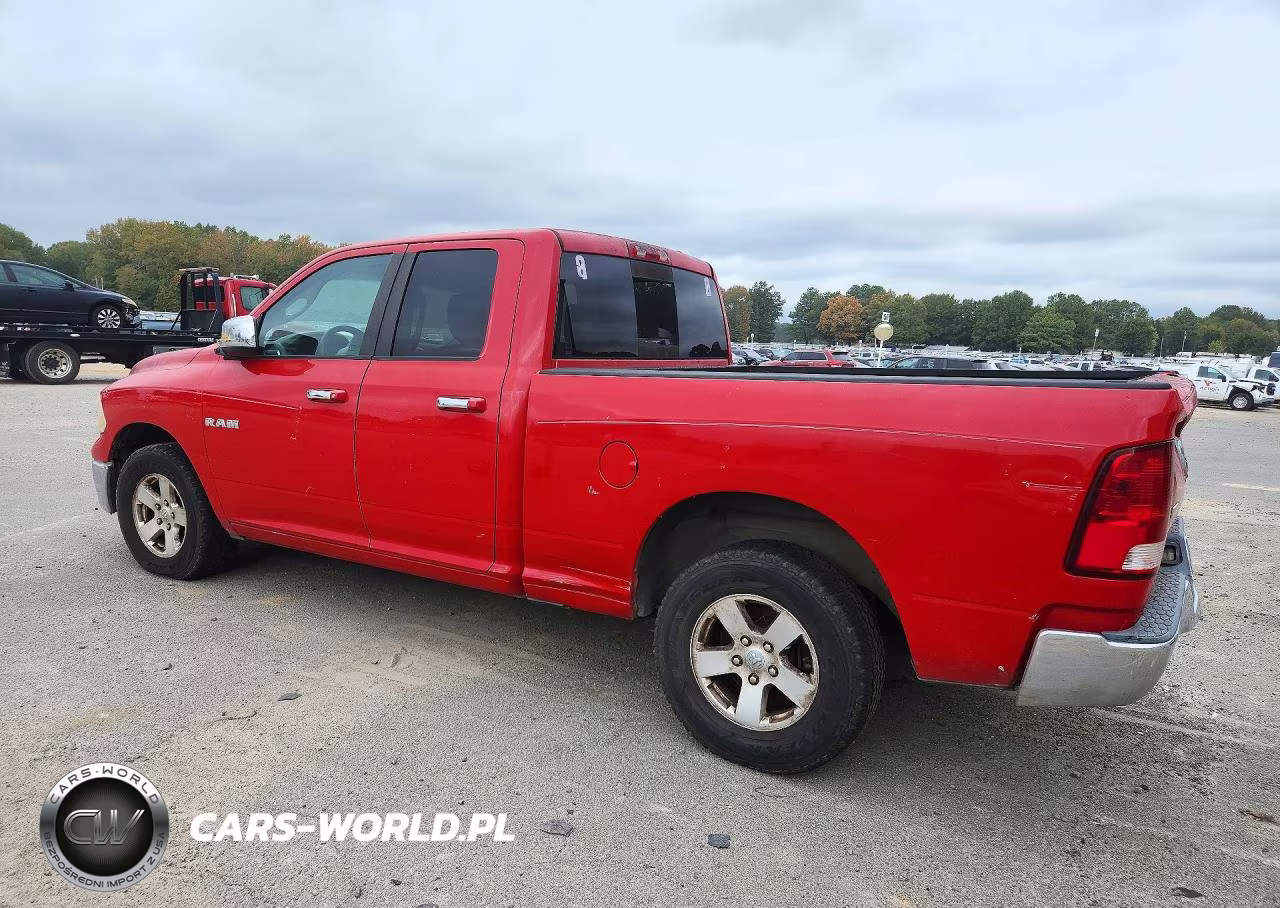 2010 Dodge Ram 1500 VIN:1D7RB1GP8AS134485 - 2
