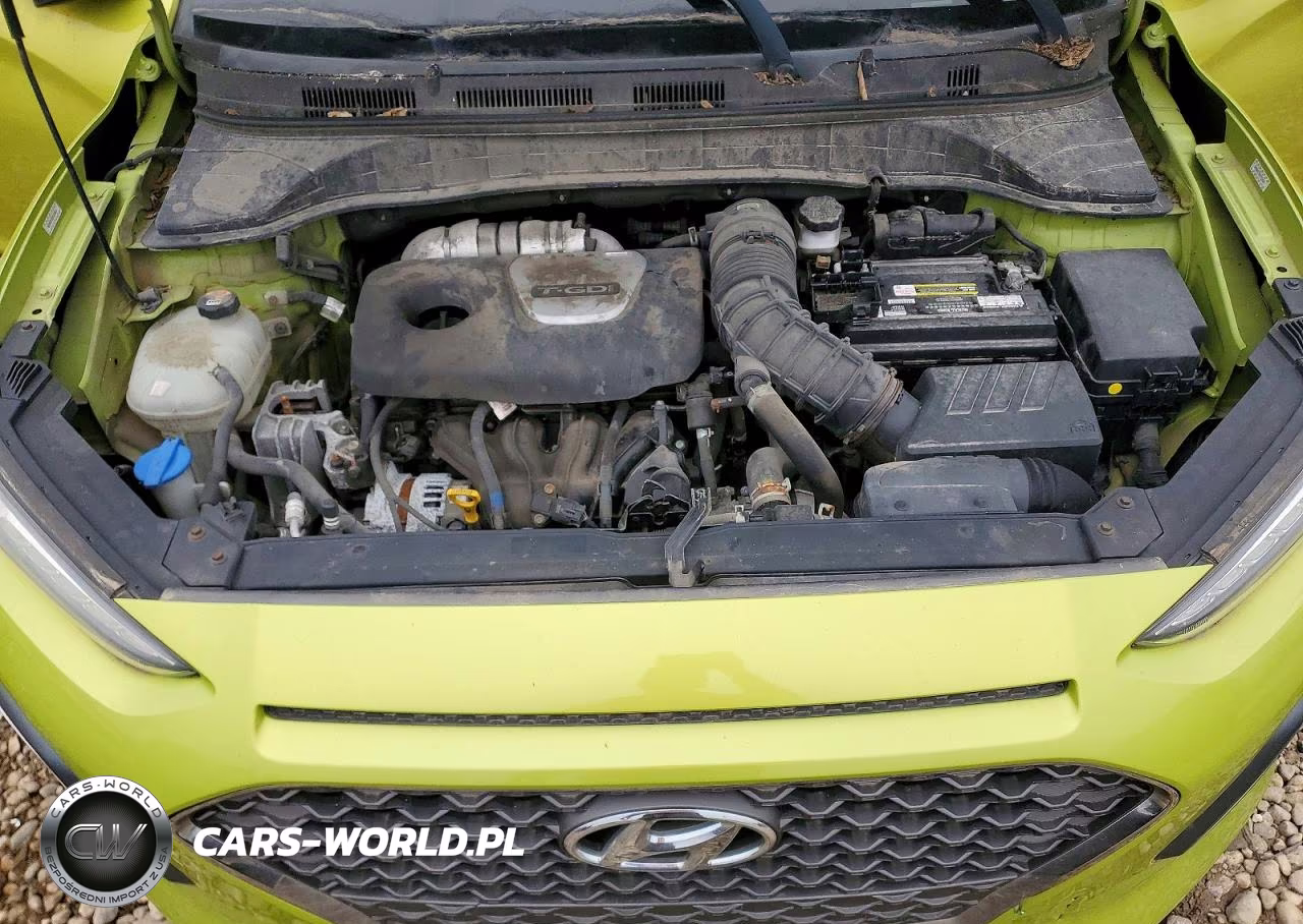 2019 Hyundai Kona Ultimate VIN:KM8K5CA58KU300690 - 12