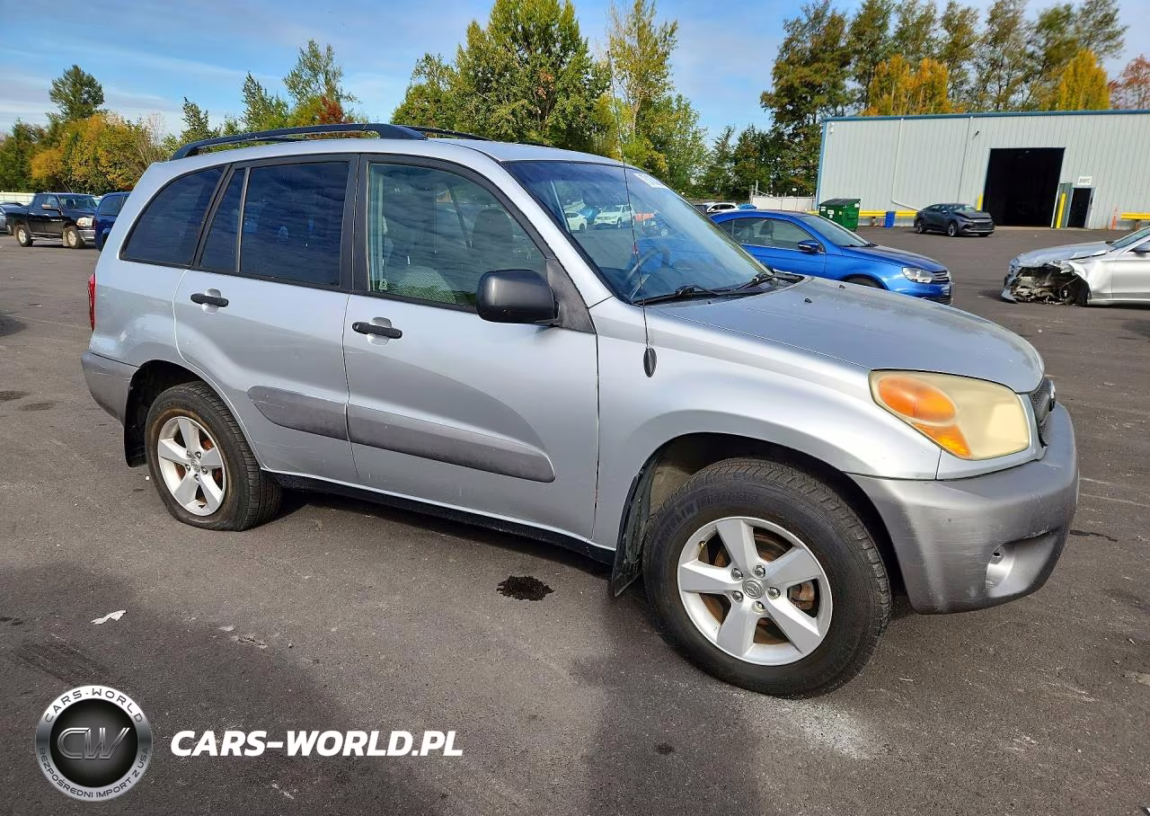 2004 Toyota Rav4 Base VIN:JTEHD20V546006874 - 4