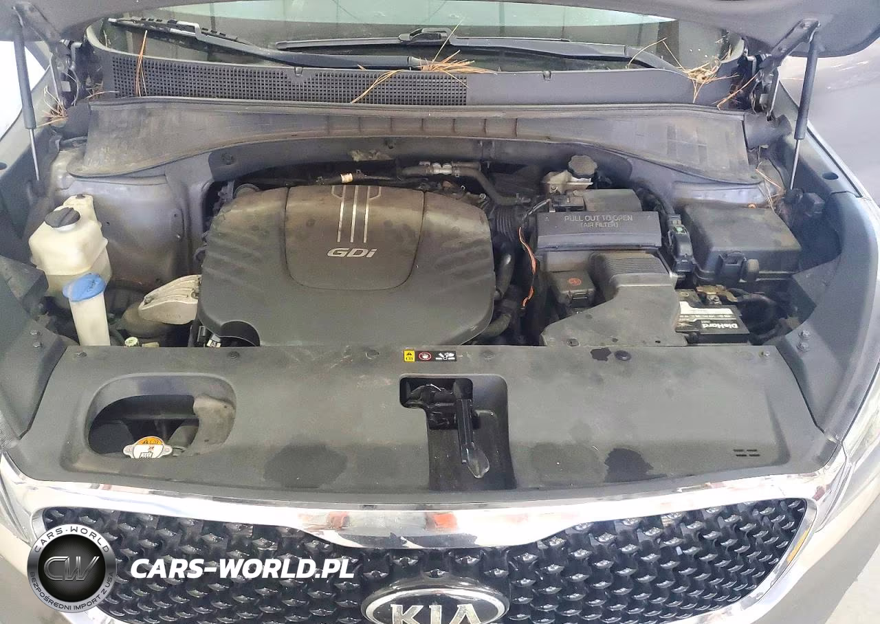 2016 Kia Sorento Ex VIN:5XYPH4A50GG142832 - 12